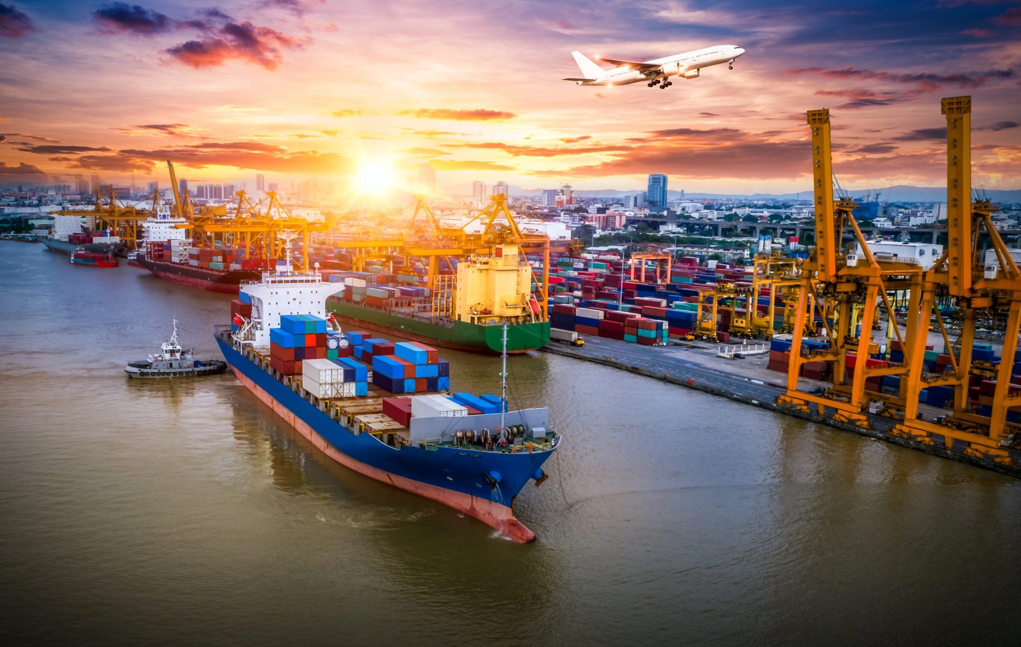 Supply Chain