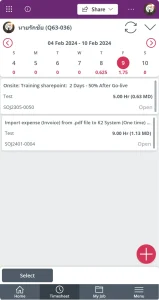 Power Apps App9 TimeSheetManage 1