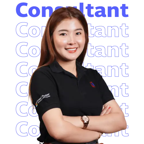 2025 Consultant Career