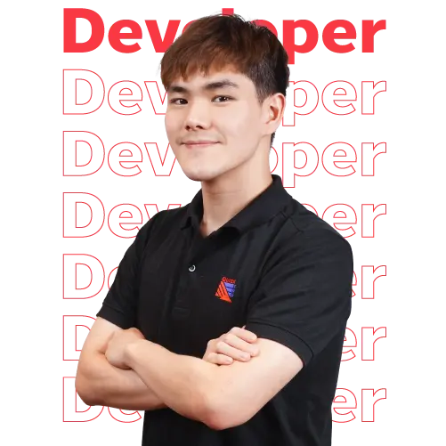 2025 Developer Career
