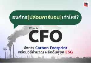 องค์กรปล่อยคาร์บอนเท่าไหร่ รู้จัก CFO คือ จัดการ Carbon Footprint